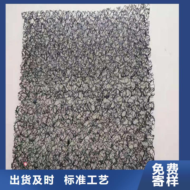 【水土保護(hù)毯】植草格講信譽保質(zhì)量