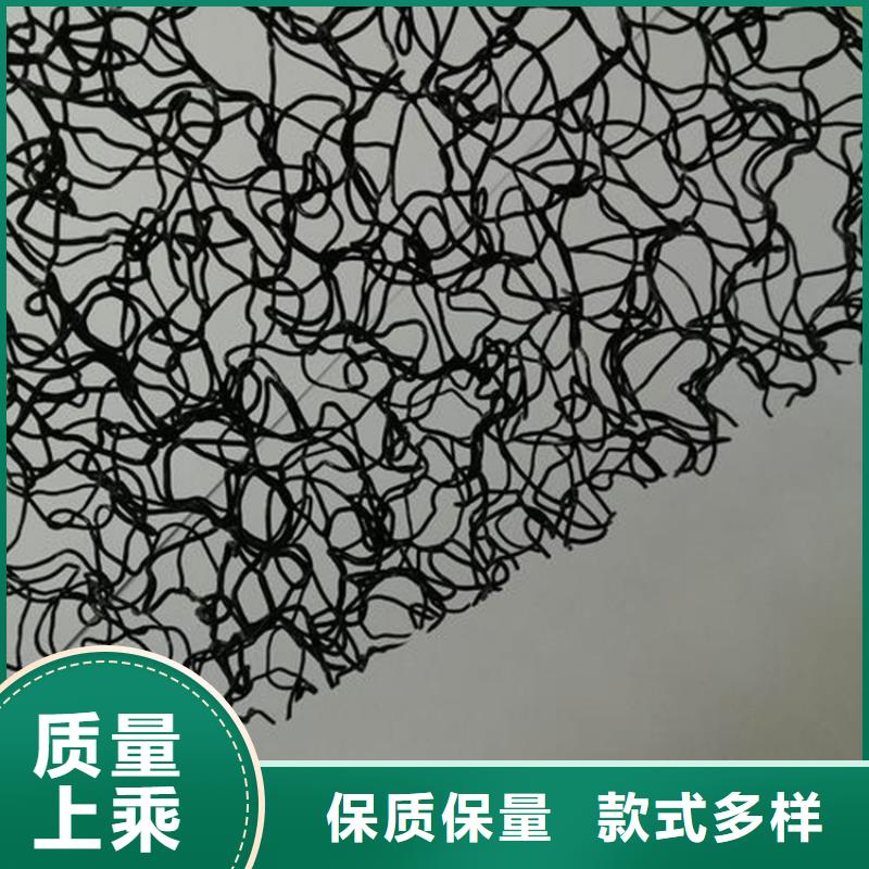 【水土保護(hù)毯】植草格講信譽保質(zhì)量