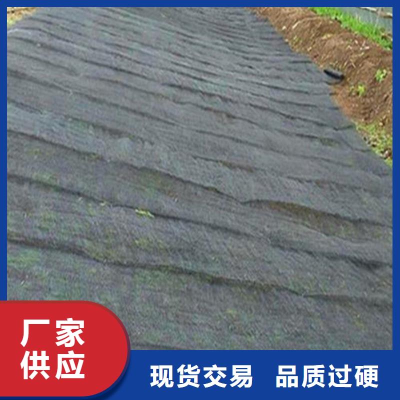 水土保護毯防草布定制銷售售后為一體