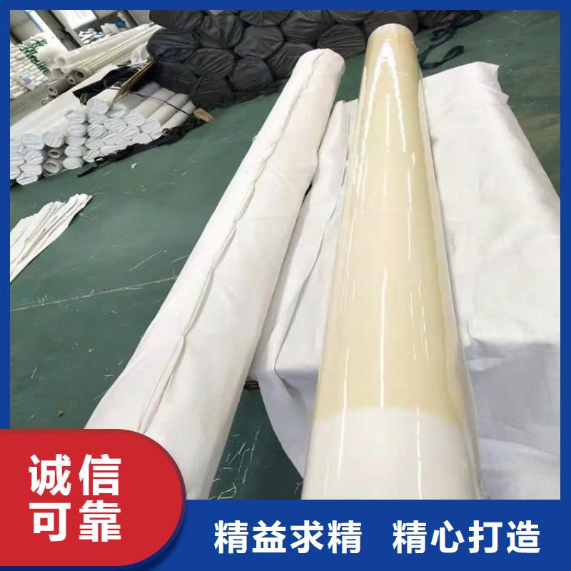 防水板土工格柵工廠直供