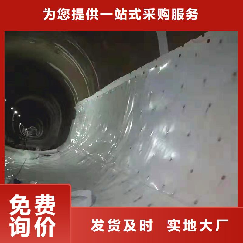 土工格栅视频-土工格栅(鼎诺)覆盖地域陕西省延安市甘泉|宝塔|宝鸡|铜川|安康|榆林