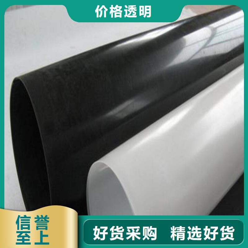 防水板土工格柵工廠直供