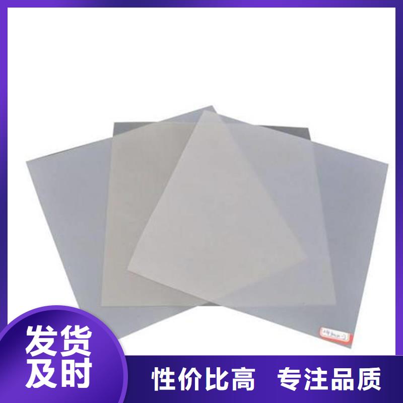 防水板土工格柵工廠直供
