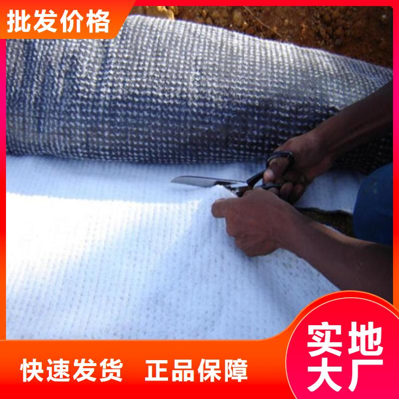 6000g膨潤土防水毯