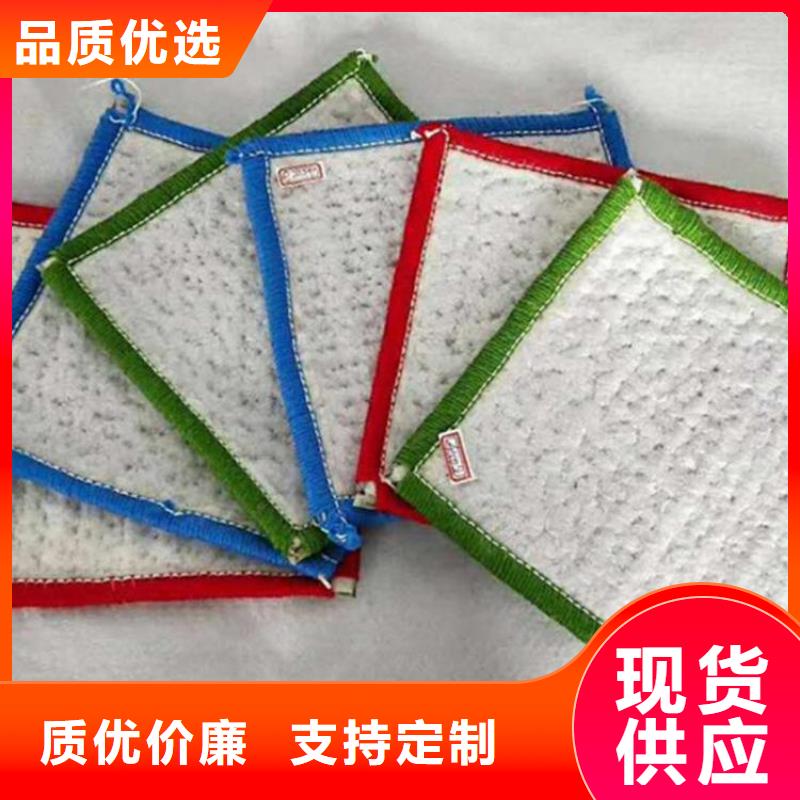 膨潤土防水毯土工格柵實體廠家