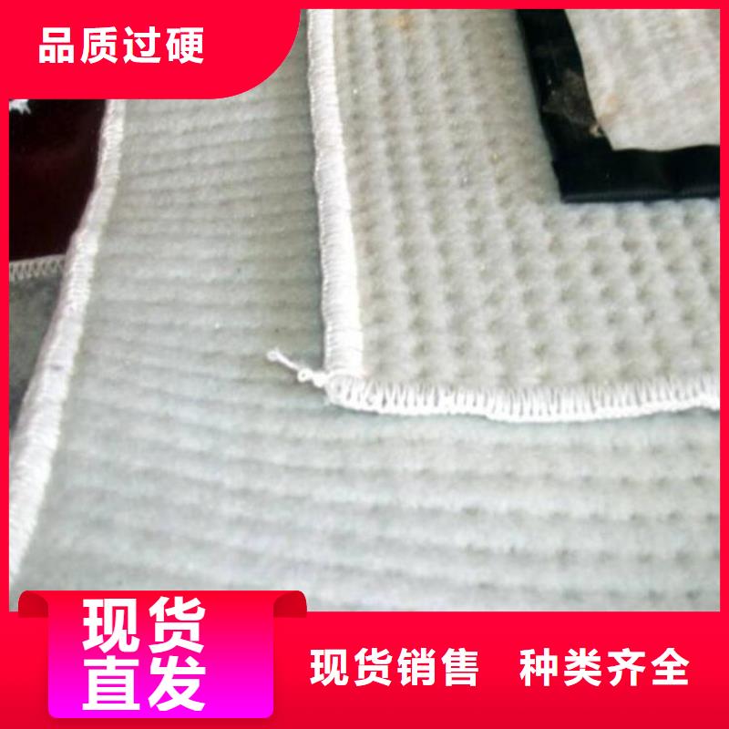 臨高縣6000g鈉基膨潤土防水毯