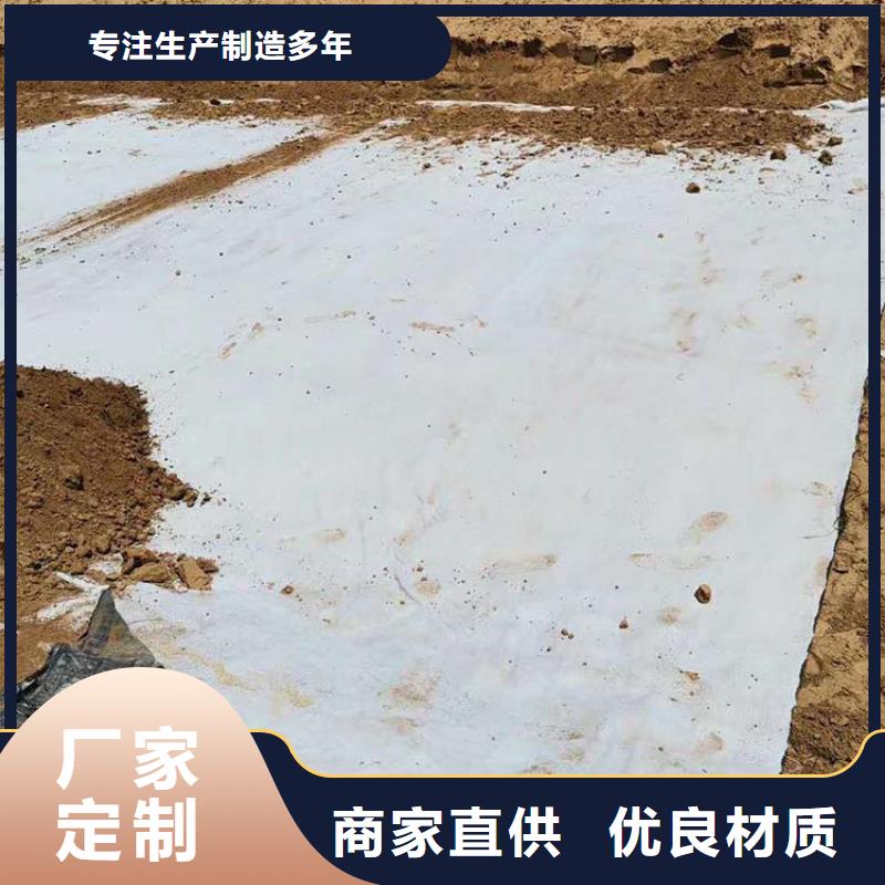 鈉基膨潤土防水毯產品種類全