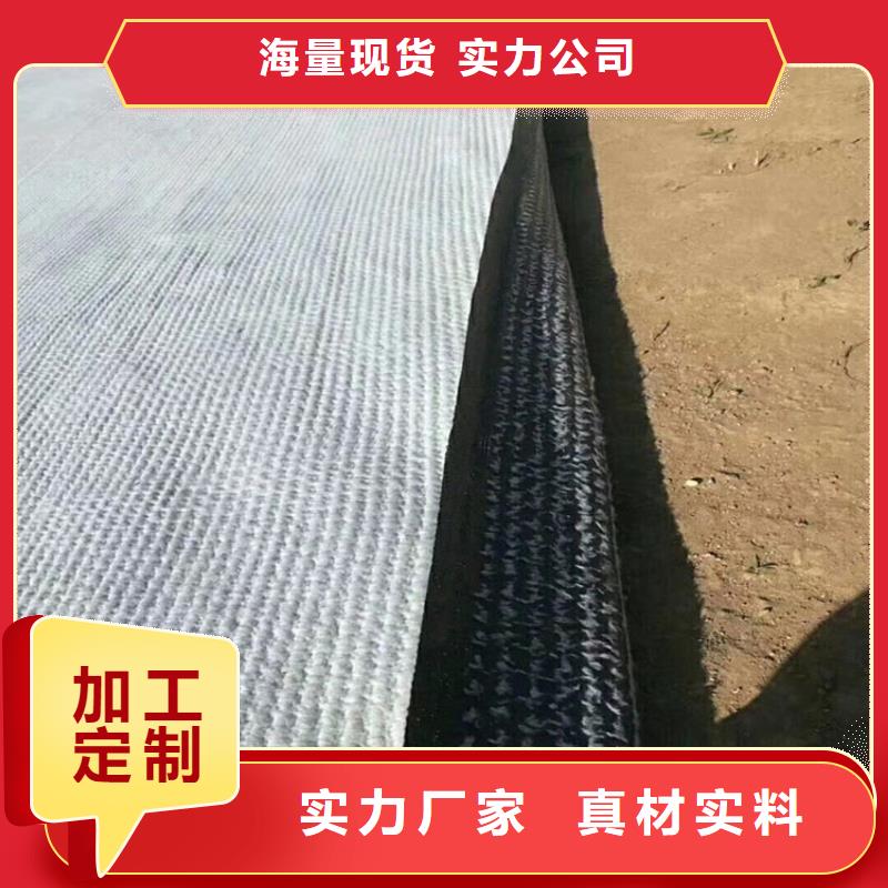 6000g膨潤土防水毯