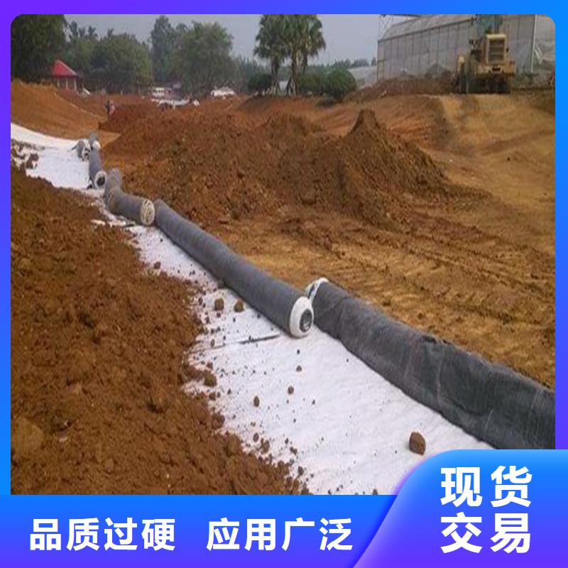 膨润土防水毯【土工布】层层质检