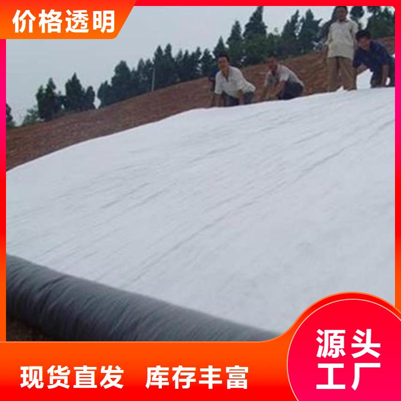 膨潤土防水毯土工格柵實體廠家