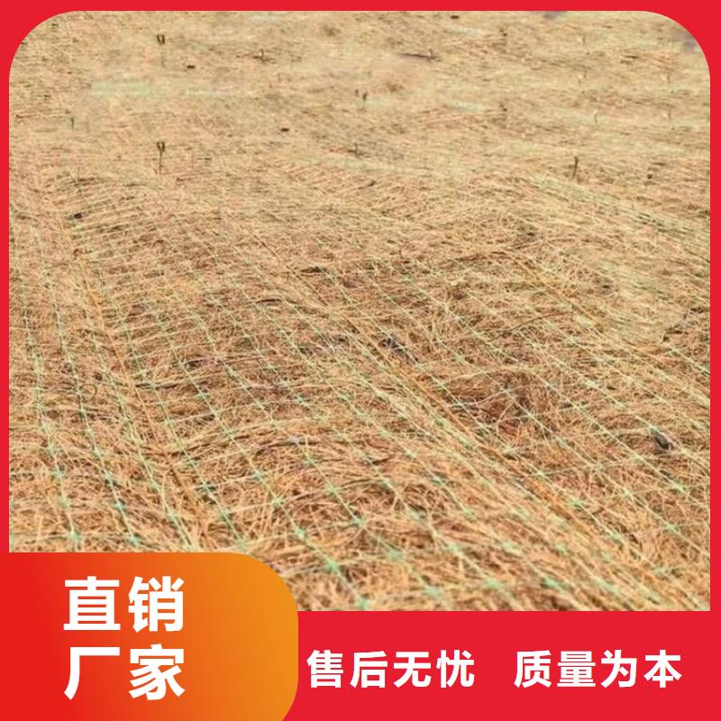 土工格栅视频-陕西省榆林市|米脂|神木|汉中|延安|铜川|咸阳|安康土工格栅-鼎诺