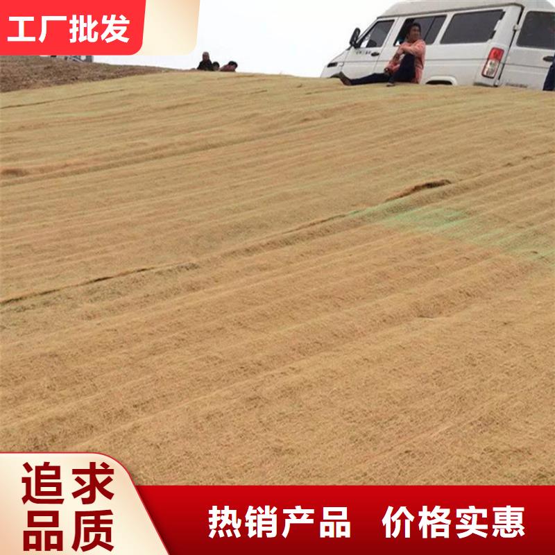 水保抗沖生物毯綠化毯
