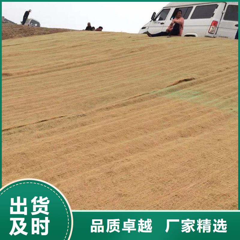 椰絲植被墊
