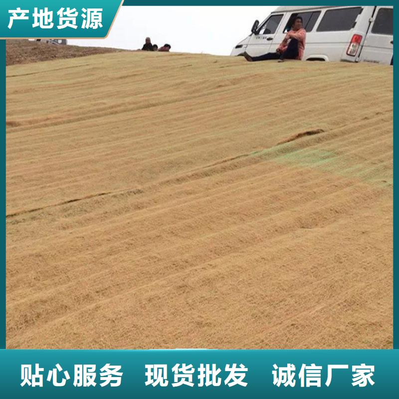 土工格栅视频-吉林省辽源市|东丰|东辽|通化|四平|吉林|延边|长春土工格栅-鼎诺