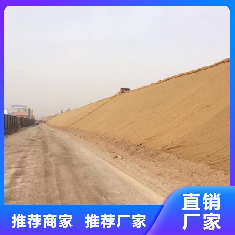 加筋抗沖生態毯