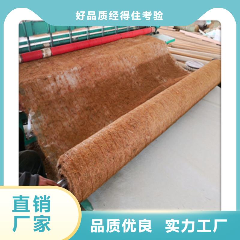 加筋抗沖生態毯