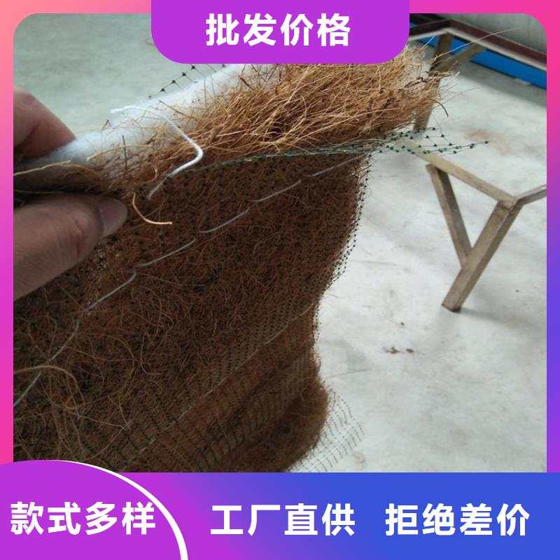 土工格栅视频-吉林省辽源市|东丰|东辽|通化|四平|吉林|延边|长春土工格栅-鼎诺