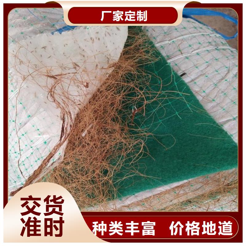植被纖維毯施工資訊