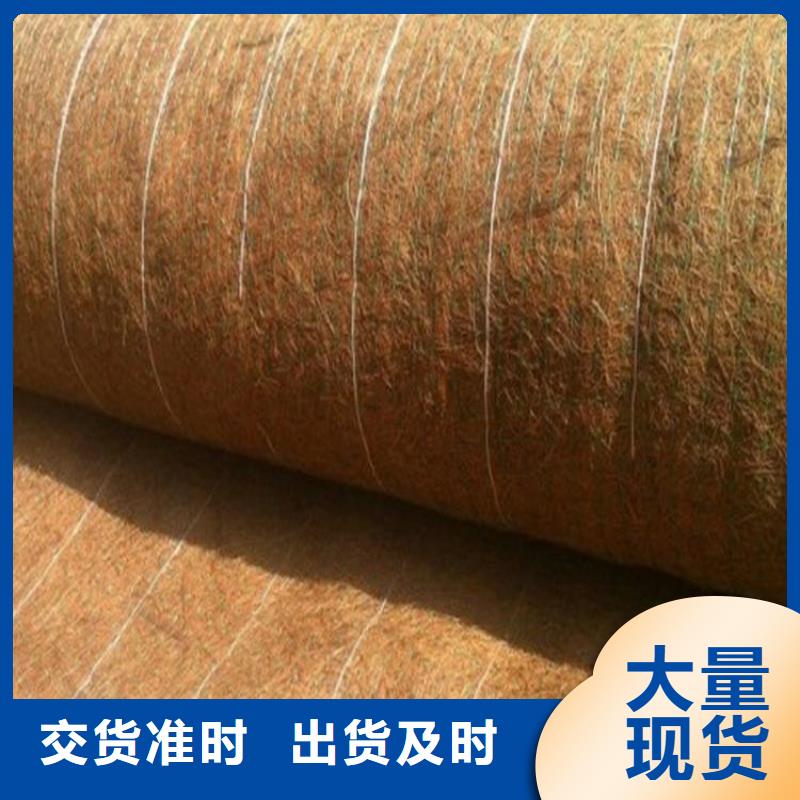 土工格栅视频-吉林省辽源市|东丰|东辽|通化|四平|吉林|延边|长春土工格栅-鼎诺