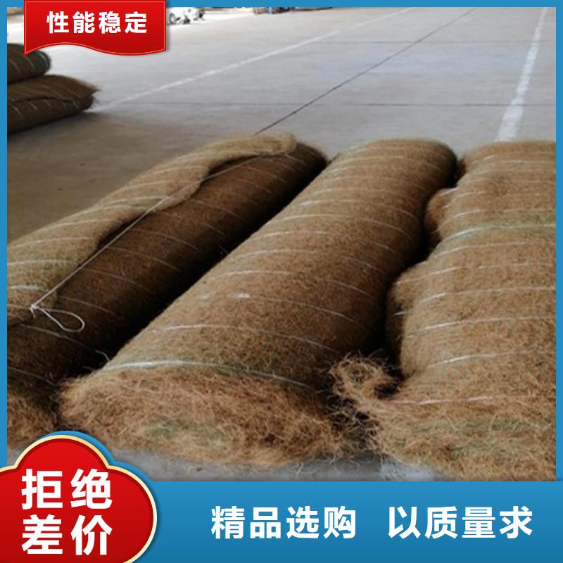 海南昌江縣護坡植被植草毯