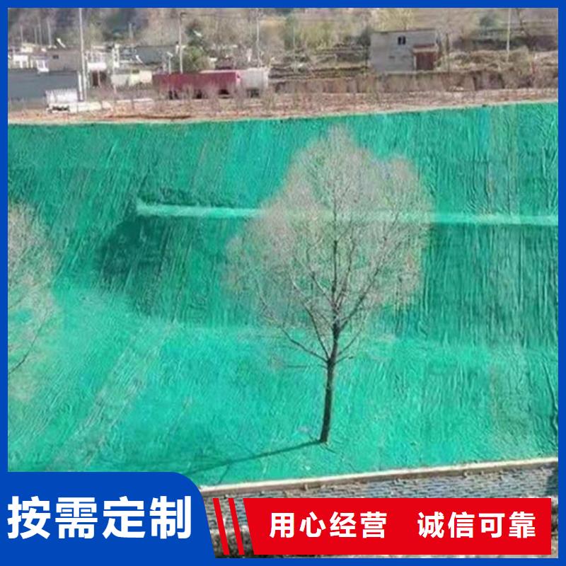 水保抗沖生物毯