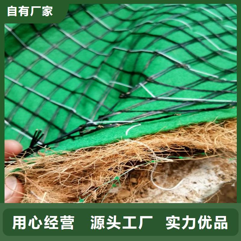 椰絲毯土工布優(yōu)選廠家