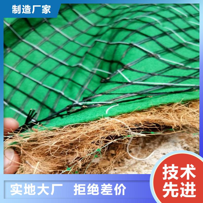 加筋抗沖生態毯市場批發