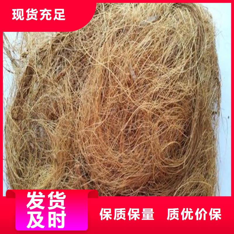 土工格栅视频-吉林省辽源市|东丰|东辽|通化|四平|吉林|延边|长春土工格栅-鼎诺
