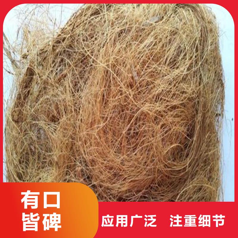 加筋抗沖生態毯市場批發
