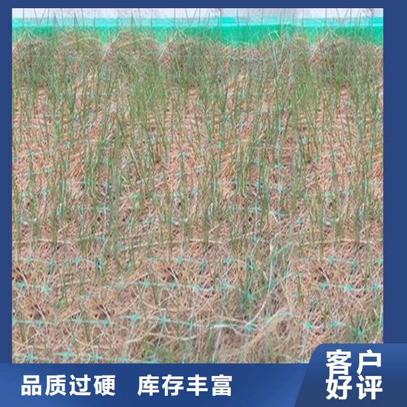 加筋抗沖生態毯