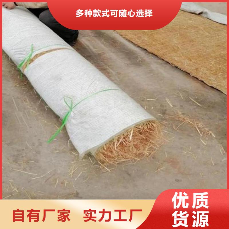 加筋抗沖生態毯秸稈植物纖維毯
