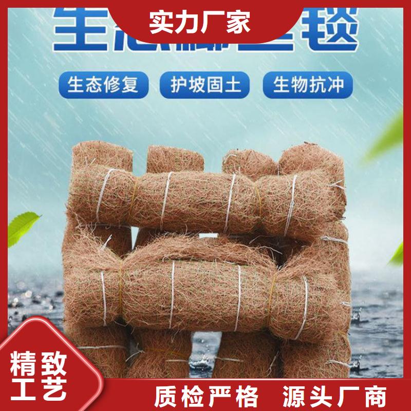 水保加筋椰絲毯施工方案