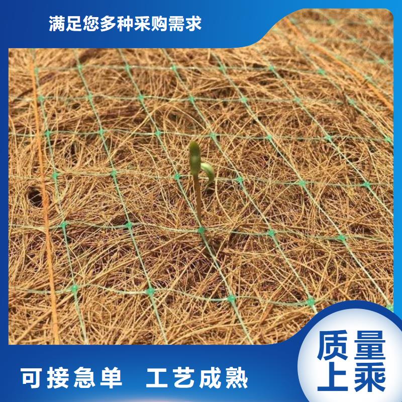 加筋抗沖生態毯