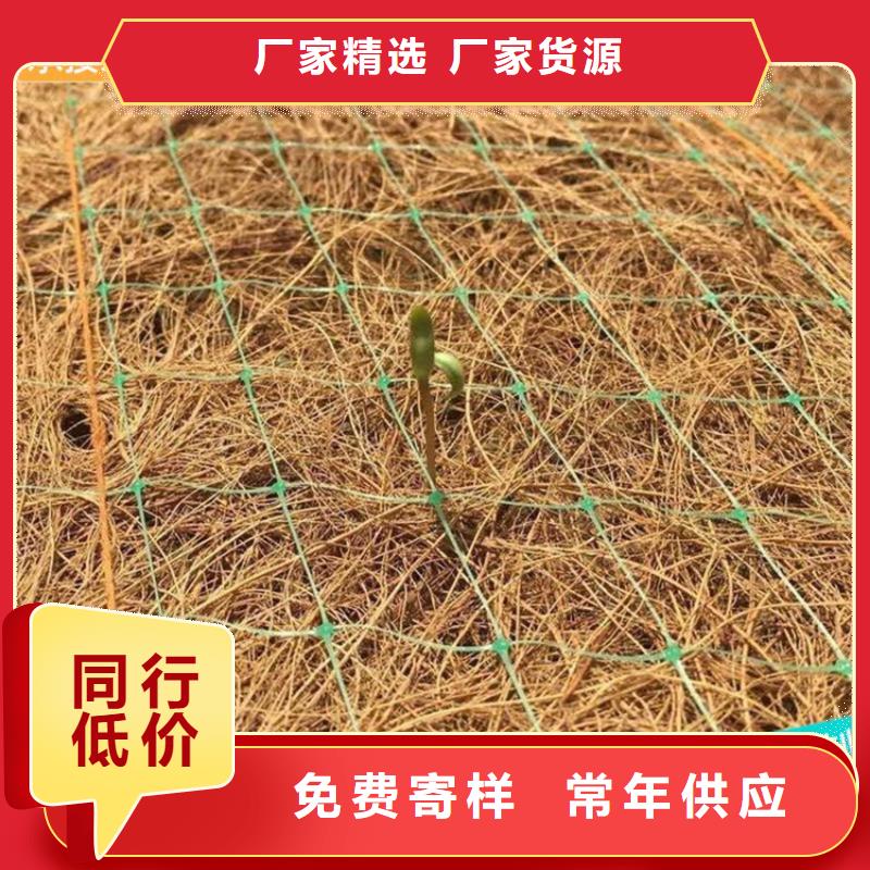 椰絲植生毯護坡植被植草毯