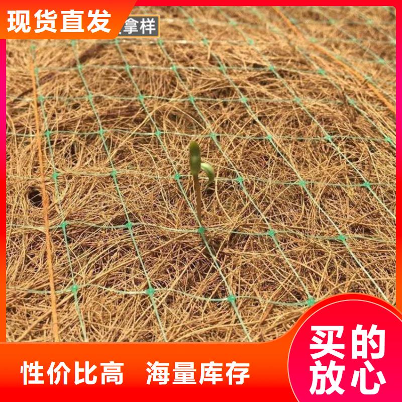 椰丝毯土工布优选厂家