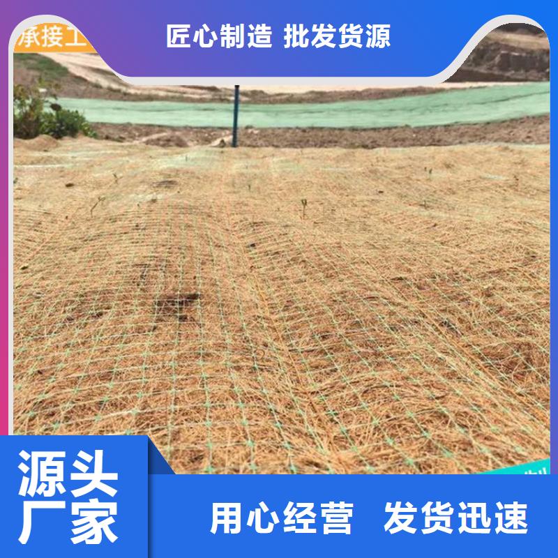 椰絲毯-塑料排水板信譽(yù)有保證