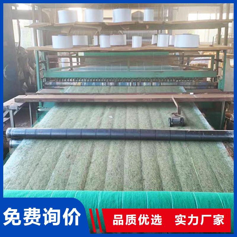 椰絲毯土工布優(yōu)選廠家