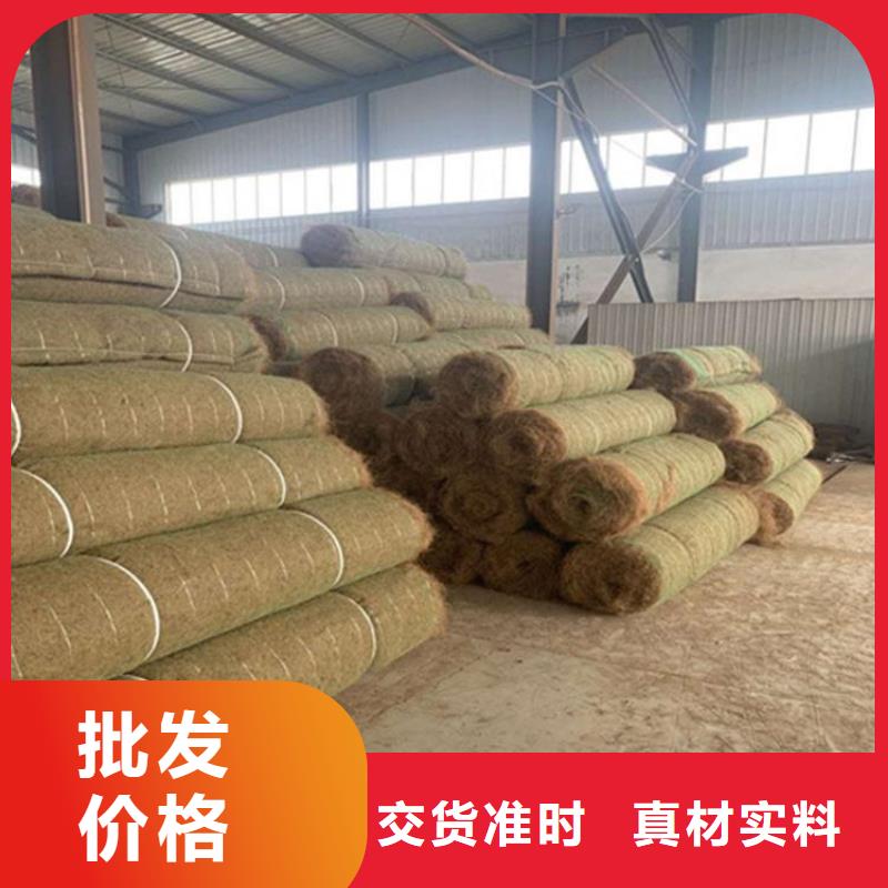 水保抗沖生物毯