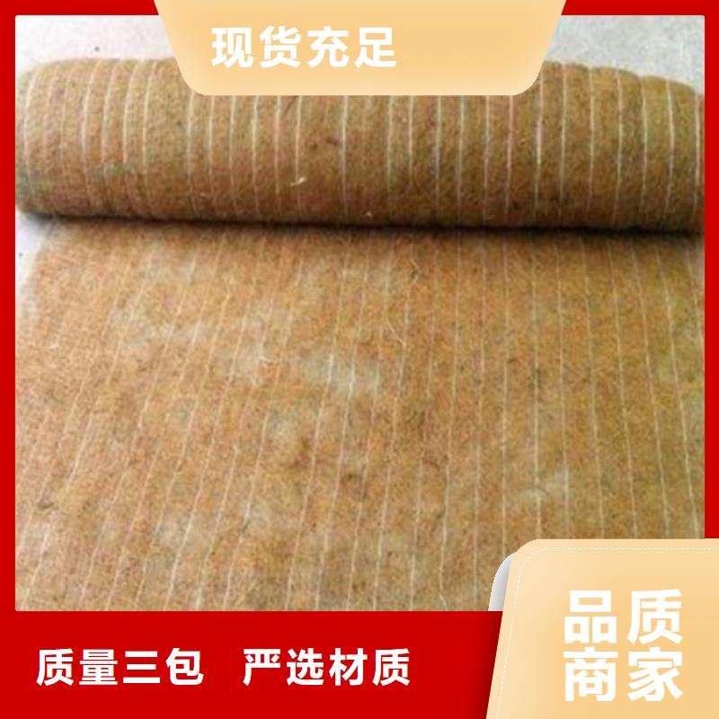 加筋抗沖生態毯市場批發