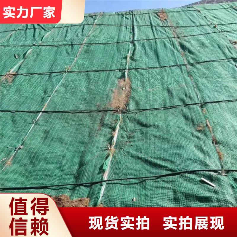 加筋抗沖生態毯