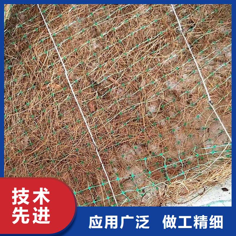 纖維植生毯型號規格