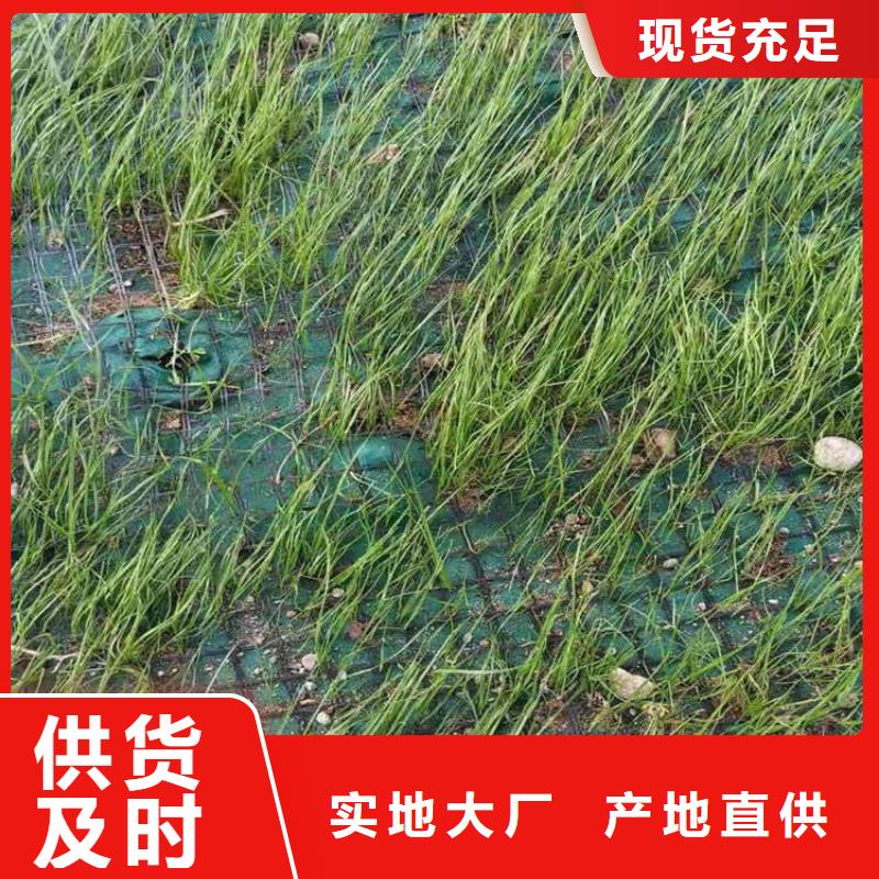 植生毯土工布代理市場