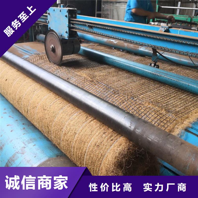 綠化生態毯