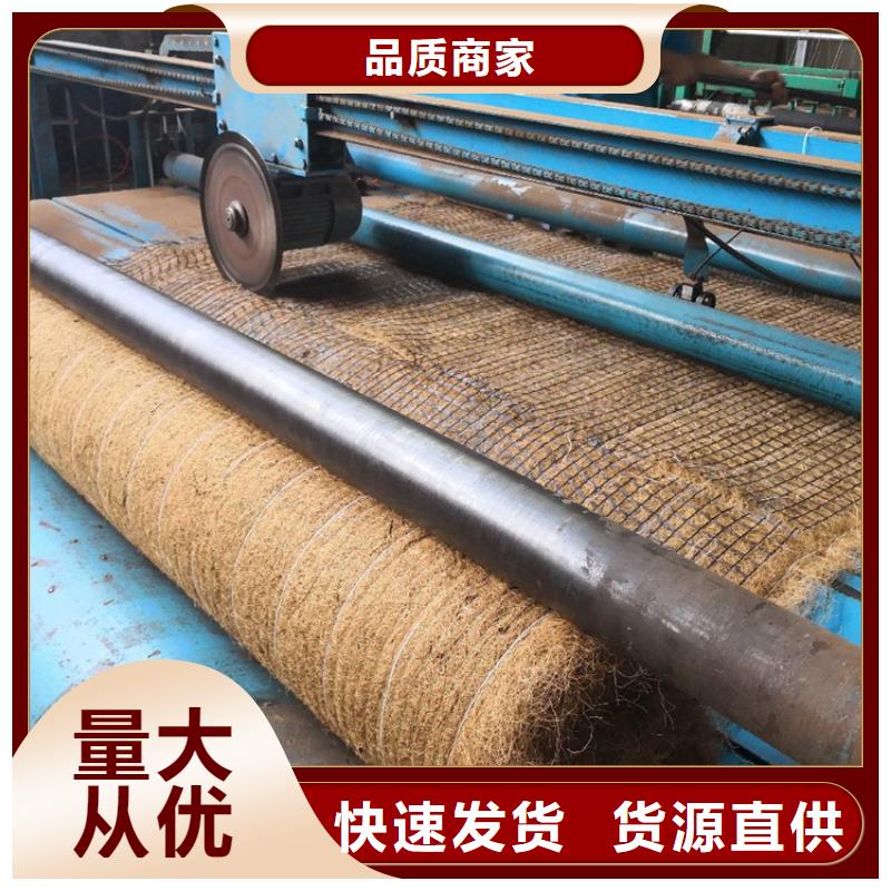 土工格栅视频-陕西省榆林市|米脂|神木|汉中|延安|铜川|咸阳|安康土工格栅-鼎诺