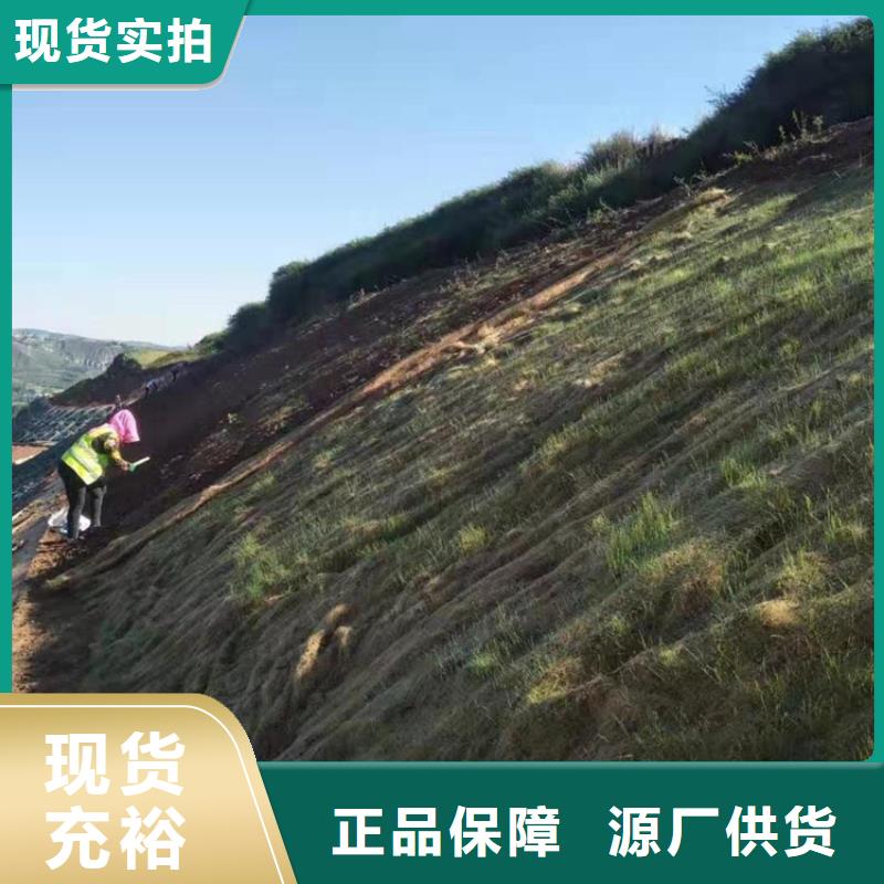 椰絲毯HDPE土工膜實力廠商