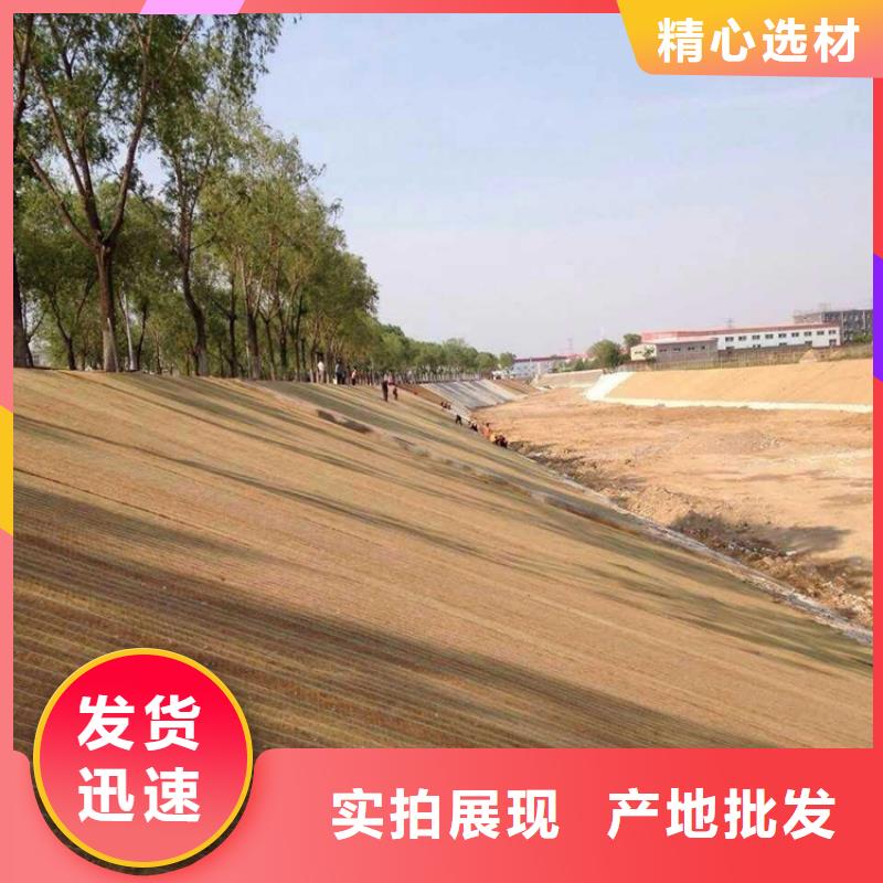 水保加筋椰絲毯施工方案