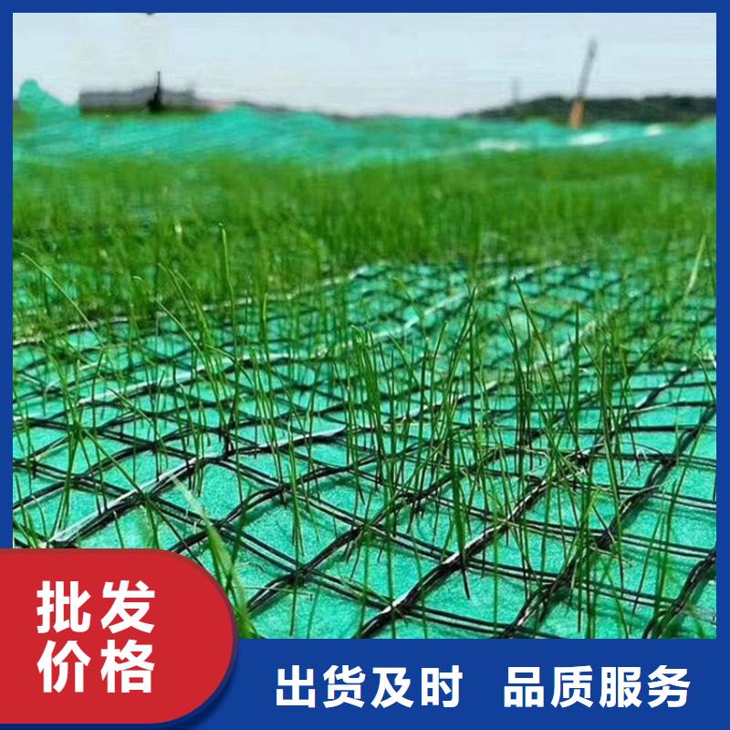 椰絲毯土工布優(yōu)選廠家