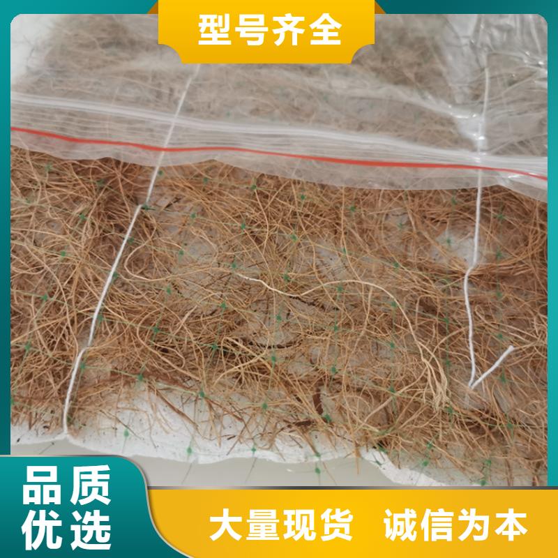 椰絲毯HDPE土工膜實力廠商
