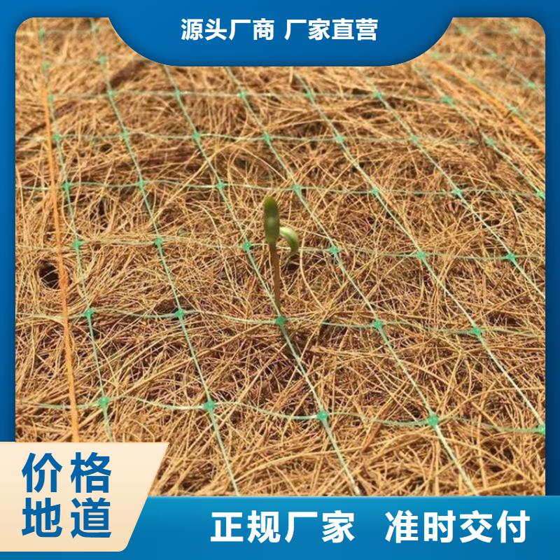 椰絲毯土工布優(yōu)選廠家