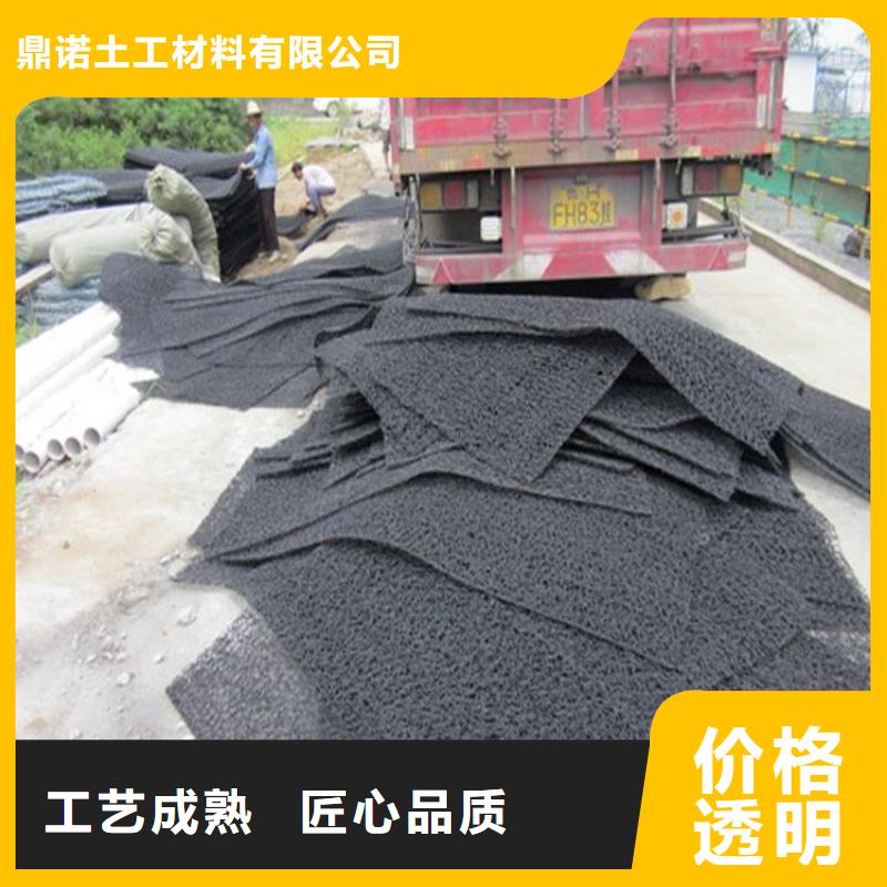 塑料滲排水網墊